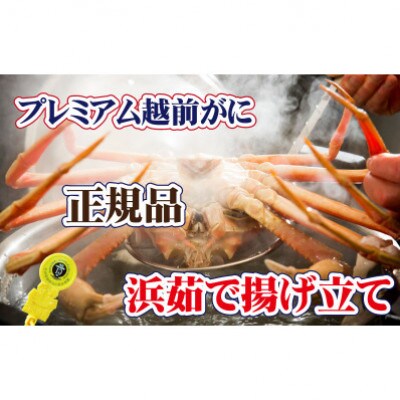 桐箱入り!一番蟹　越前国の主!越前がにの象徴 × 1杯 ≪浜茹で≫【11月発送分】
