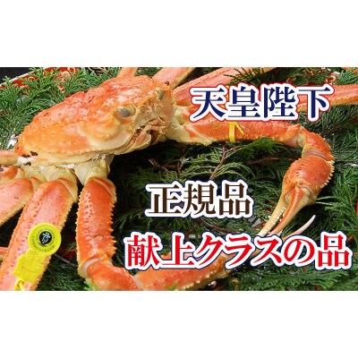 桐箱入り!皇室献上級　誉れ高き越前がに ×1杯 ≪浜茹で≫【12・1月発送分】