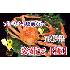 桐箱入り!完全なる越前がに【極】越前がにの皇帝 &times; 1杯 ≪浜茹で≫【11月発送分】