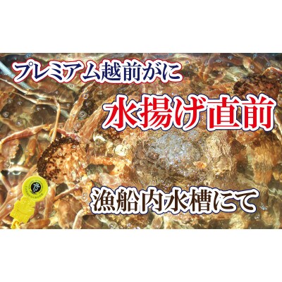 桐箱入り!完全なる越前がに【極】越前がにの皇帝【2月・3月送付】