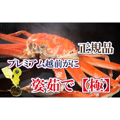 桐箱入り!完全なる越前がに【極】越前がにの皇帝【2月・3月送付】