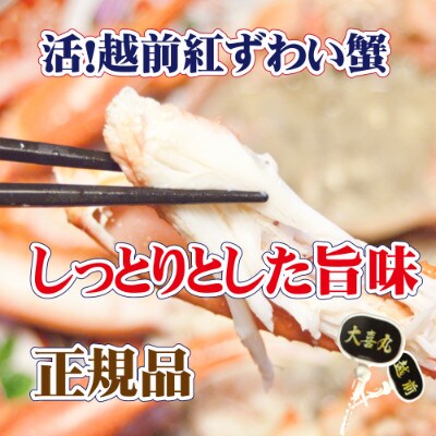 活! 越前 紅ずわいがに × 1杯 旨味満点!! ≪浜茹で≫【12・1月発送分】