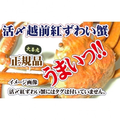 旨味満載!!活〆越前紅ずわい蟹1杯【2・3月発送分】