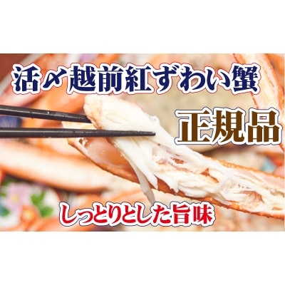 旨味満載!!活〆越前紅ずわい蟹1杯【2・3月発送分】