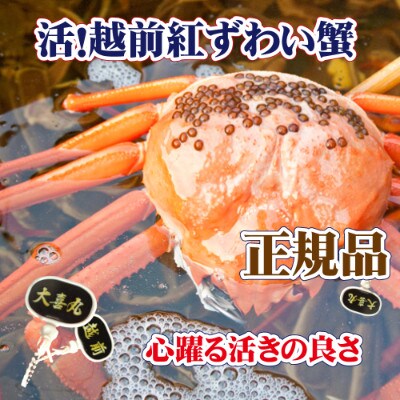 活! 越前 紅ずわいがに 1杯 旨味満点!! ≪生≫【4・5月発送分】