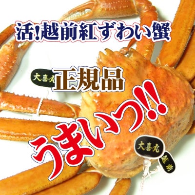 活! 越前 紅ずわいがに × 1杯 旨味満点!! ≪浜茹で≫【6月発送分】