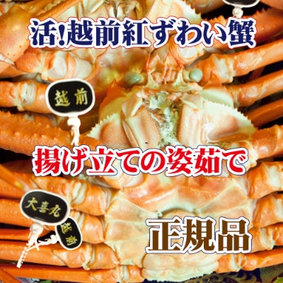 活! 越前 紅ずわいがに × 1杯 旨味満点!! ≪浜茹で≫【6月発送分】