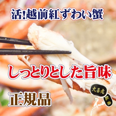 活! 越前 紅ずわいがに × 1杯 旨味満点!! ≪浜茹で≫【6月発送分】