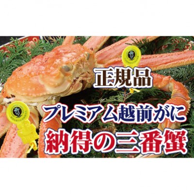 三番蟹　納得のプレミアム越前がに × 1杯 ≪生≫【11月発送分】