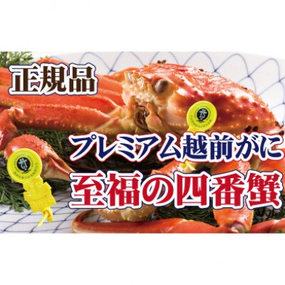 桐箱入り!四番蟹　至福のプレミアム越前がに × 1杯 ≪生≫【11月発送分】