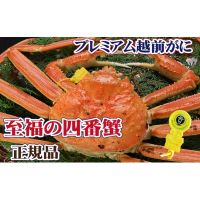 桐箱入り!四番蟹　至福のプレミアム越前がに × 1杯 ≪生≫【11月発送分】