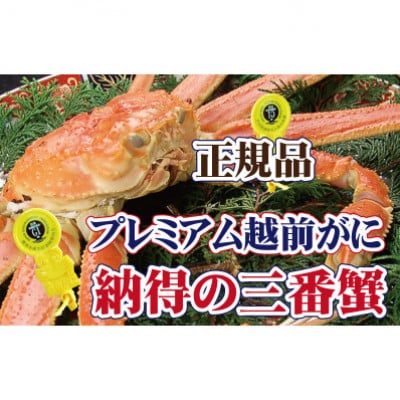 桐箱入り!三番蟹　納得のプレミアム越前がに × 1杯 ≪生≫【11月発送分】