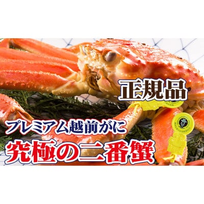 二番蟹　上質のプレミアム越前がに × 1杯 ≪生≫【12・1月発送分】