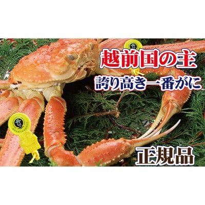 一番蟹　越前国の主!越前がにの象徴 × 1杯 ≪生≫【12・1月発送分】