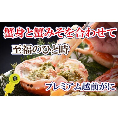 四番蟹　至福のプレミアム越前がに × 1杯 ≪浜茹で≫【2・3月発送分】