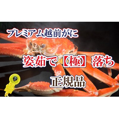桐箱入り!越前の宝【極】落ち　プレミアム越前がに × 1杯 ≪浜茹で≫【2・3月発送分】