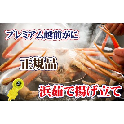桐箱入り!越前の宝【極】落ち　プレミアム越前がに × 1杯 ≪浜茹で≫【2・3月発送分】