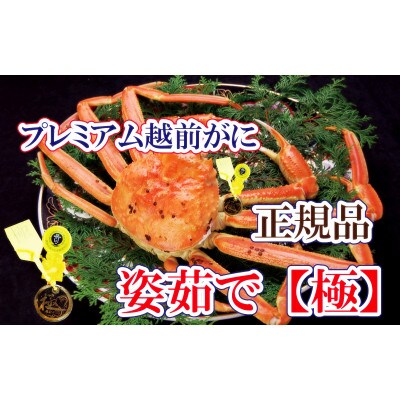 桐箱入り!完全なる越前がに【極】越前がにの皇帝 × 1杯 ≪生≫【2・3月発送分】
