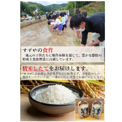 さとふる限定【精米10kg】【令和4年産】 福井県越前町産 こしひかり