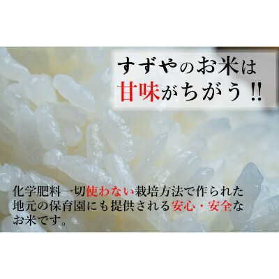 さとふる限定【精米15kg】【令和4年産】福井県越前町産 こしひかり