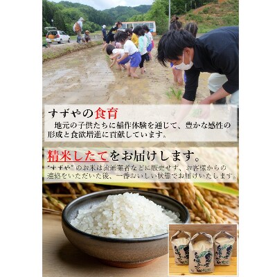 さとふる限定【精米15kg】【令和4年産】福井県越前町産 こしひかり