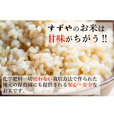 生まれと育ちが違う米　発芽用玄米10kg　４年産コシヒカリ　特栽①　農薬等不使用