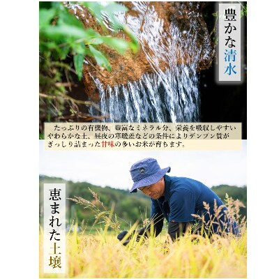 さとふる限定【玄米15kg】【令和4年産】福井県越前町産 こしひかり