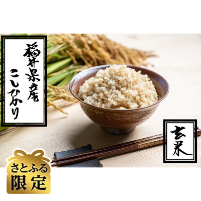 さとふる限定【玄米10kg】【令和4年産】福井県越前町産 こしひかり