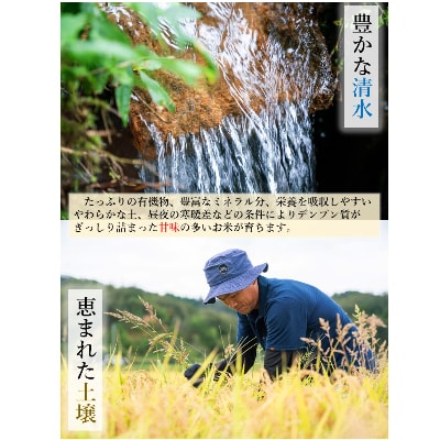 さとふる限定【玄米10kg】【令和4年産】福井県越前町産 こしひかり