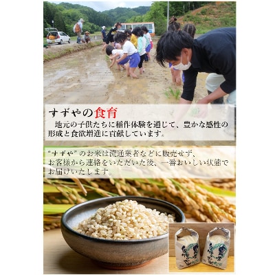 さとふる限定【玄米10kg】【令和4年産】福井県越前町産 こしひかり