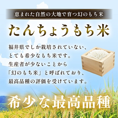 【年内発送】丸餅 約2kg 80g × 26個 【雑煮 年末年始 御馳走 添加物不使用】