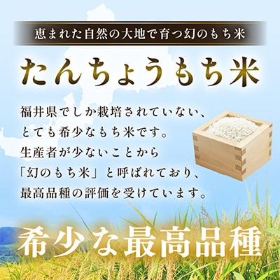 【年内発送】丸餅 約3kg 80g × 39個 【雑煮 年末年始  御馳走 添加物不使用】