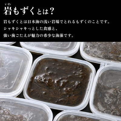 福井県越前産 天然 岩もずく酢 800g(100g × 8P)【小分け】【令和5年4月より順次発送】