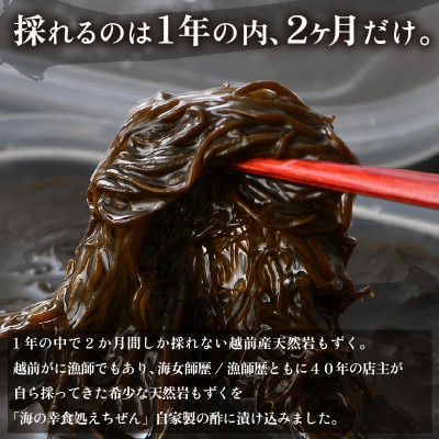 福井県越前産 天然 岩もずく酢 800g(100g × 8P)【小分け】【令和5年4月より順次発送】