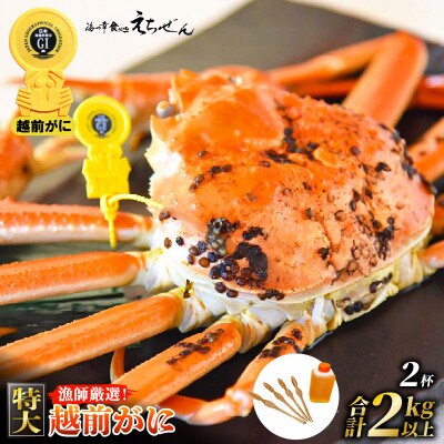 ≪浜茹で≫ 越前がに 特大 2杯 かに酢 食べ方QRコード付き【1月より発送】