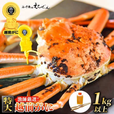 ≪浜茹で≫ 越前がに　特大  1杯 かに酢  食べ方QRコード付き【2月より発送】