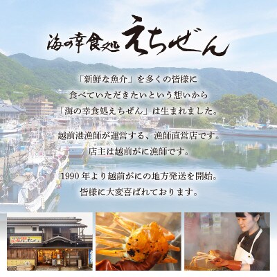 ≪浜茹で≫ 越前がに 特大 1杯 かに酢 かにスプーン 食べ方QRコード付き【12月より発送】