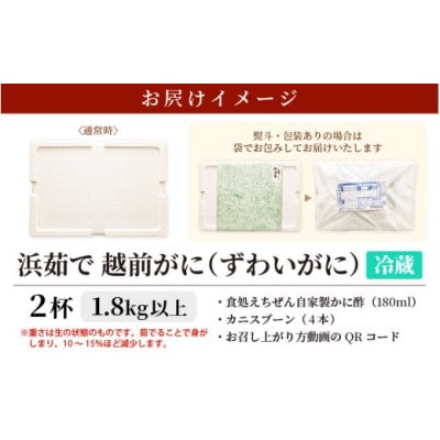 ≪浜茹で≫ 越前がに 特大 2杯 かに酢 食べ方QRコード付き【3月より発送】