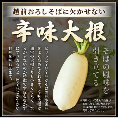 【越前おろしそば】 6人前(辛味大根・ねぎ・だし付き) 冷蔵