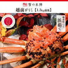 冬の日本海の味【越前がに(ずわいがに)】1.3kg前後