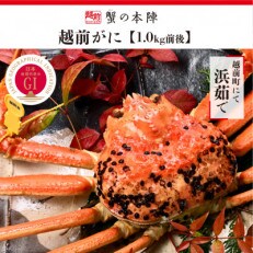 冬の日本海の味【越前がに(ずわいがに)】1.0kg前後