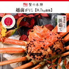 冬の日本海の味【越前がに(ずわいがに)】0.7kg前後