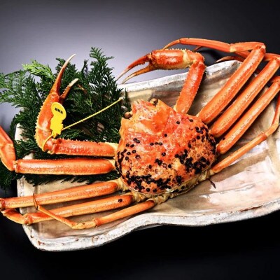 冬の日本海の味【越前がに(ずわいがに)】0.5kg前後 2杯セット