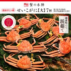 浜茹で【越前せいこがに　大　270g前後】7杯セット　11～12月順次発送