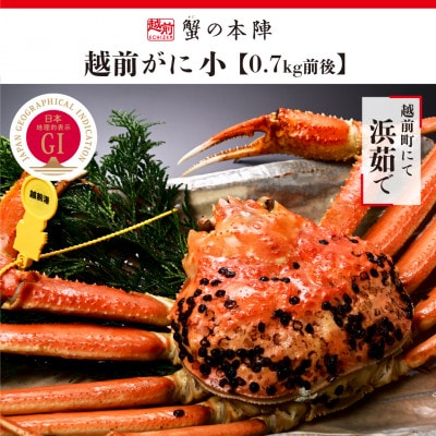 冬の日本海の味　浜茹で【越前がに　小　0.7kg前後】11月～翌3月順次発送