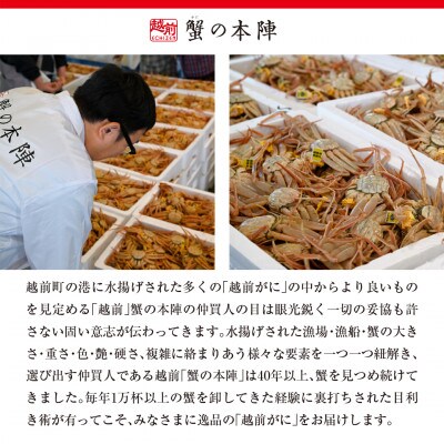 冬の日本海の味　浜茹で【越前がに　1.0kg前後】11月～翌3月順次発送