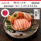 越前甲羅盛り 浜茹で【せいこがに 大】