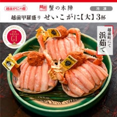 越前甲羅盛り 浜茹で【せいこがに 大】3杯セット