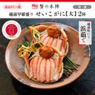 越前甲羅盛り 浜茹で【せいこがに 大】2杯セット