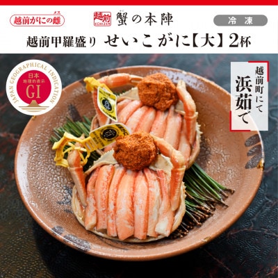越前甲羅盛り 浜茹で【せいこがに 大】2杯セット